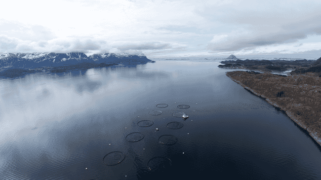 vista aérea de una piscifactoría de salmón