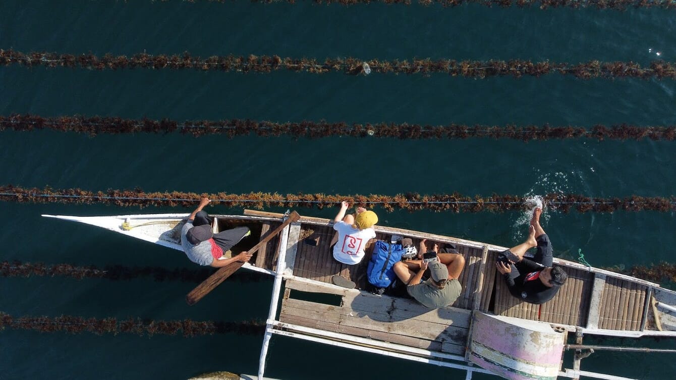 An aerial view of people in a dugout canoe.
