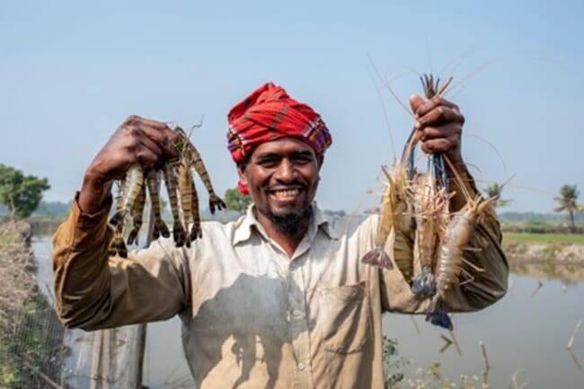 a man holding two bunches of live prawns