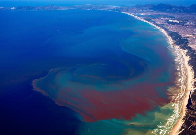 Red tide in Monterey Bay.