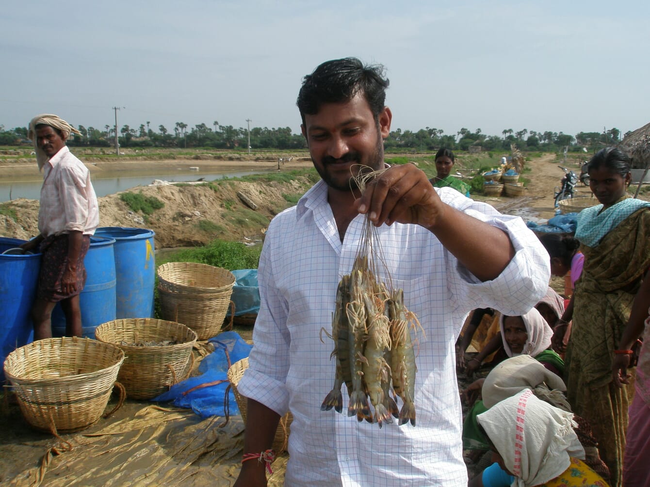 A man holding freshly harvested shrimp infront of his farm in India.