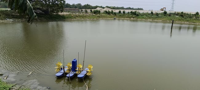 Pond aerators in a fish farming pond.