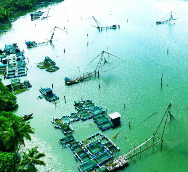 aerial view of an aquaculture site