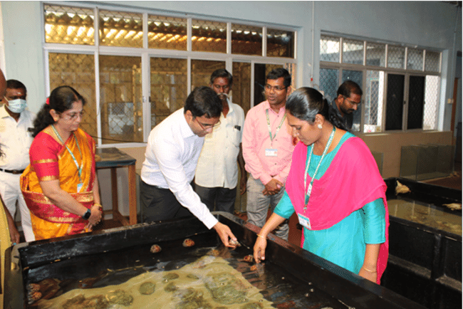 oyster hatchery