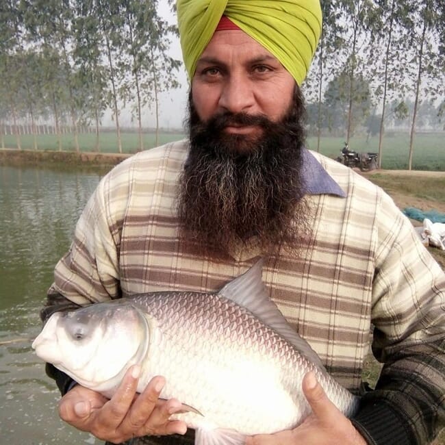 Un hombre sostiene una carpa mayor india.