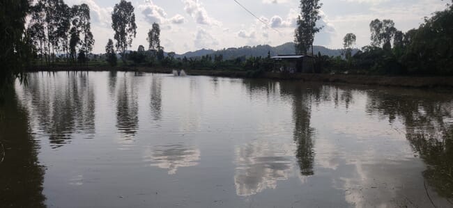 clouds reflected on a pond