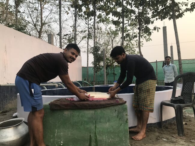 Homens trabalhando em uma fazenda de peixes.