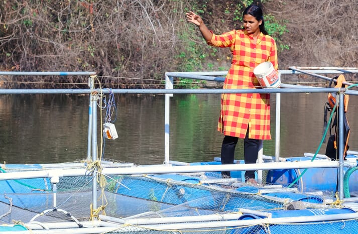 indian fish farming