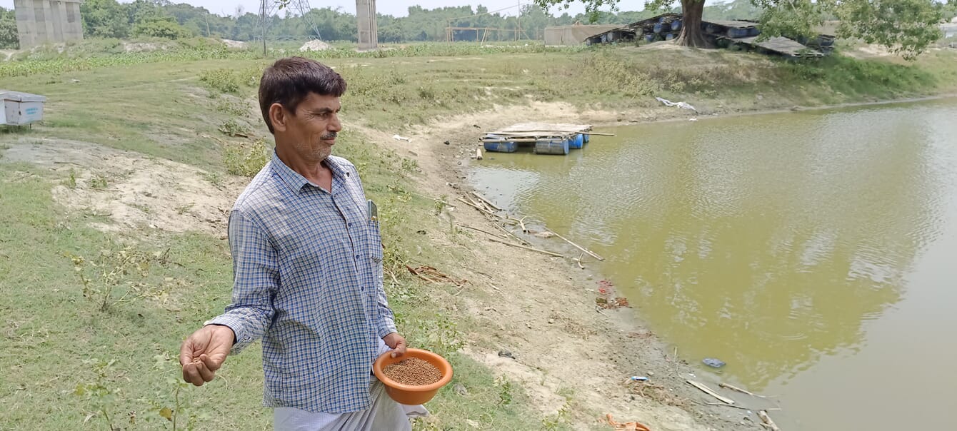 A fish farmer in Bihar feeding fish.