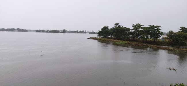 flooded field