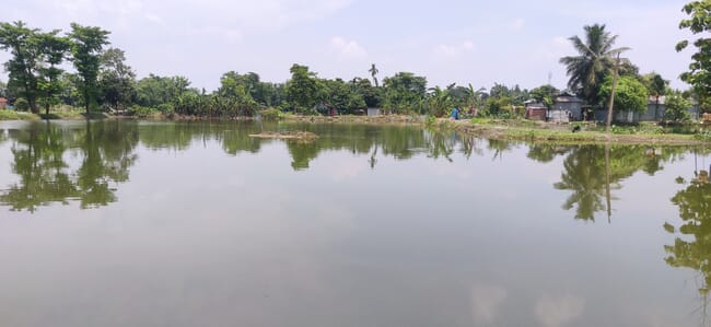 flooded field