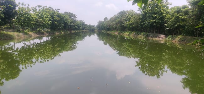 flooded field