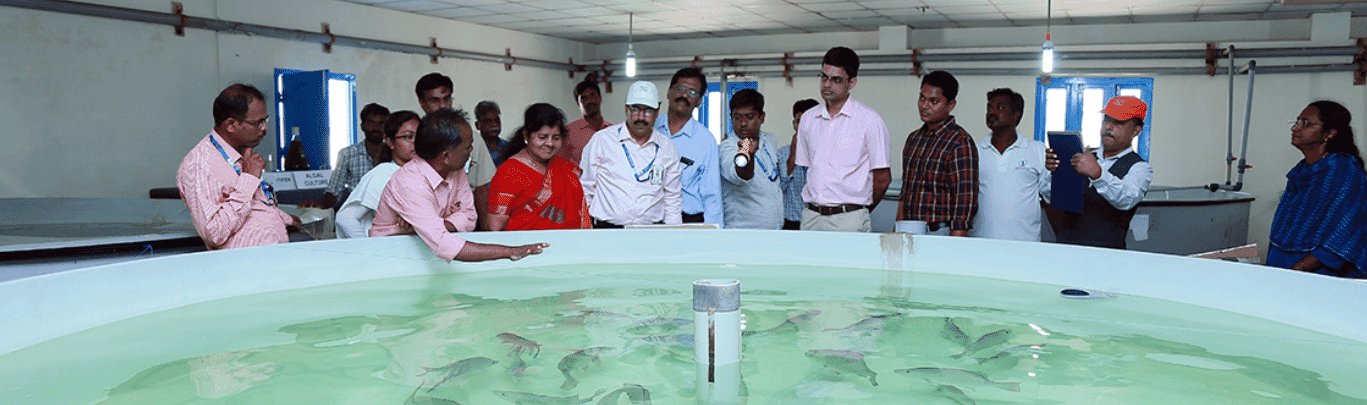India set to step up brackish water aquaculture production The Fish Site