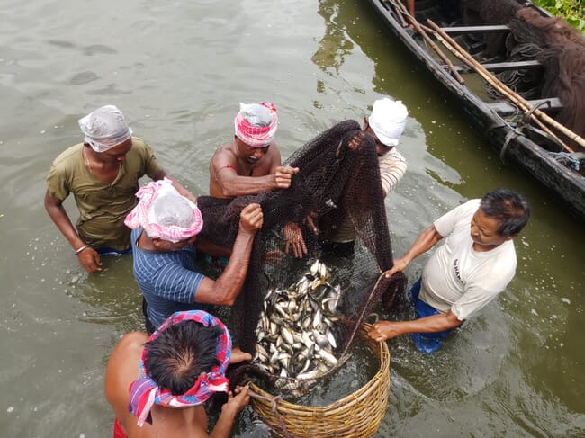 underwater carp farming