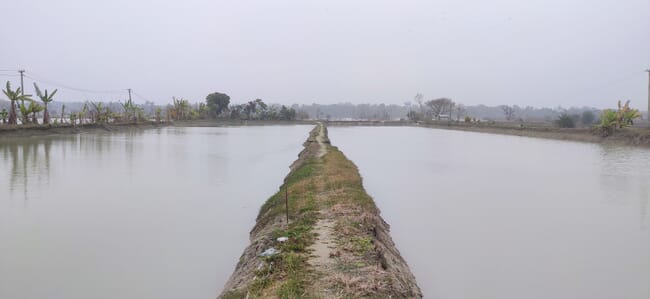 Two flooded fields