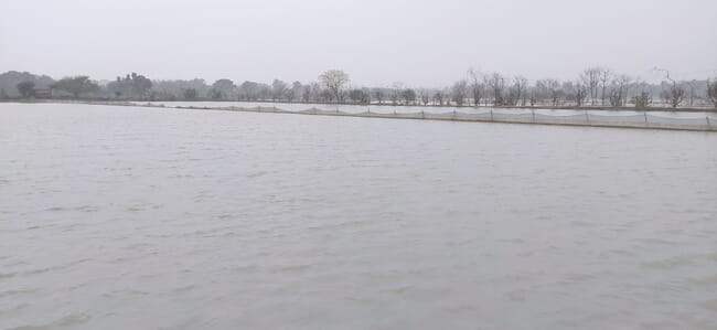 flooded fields