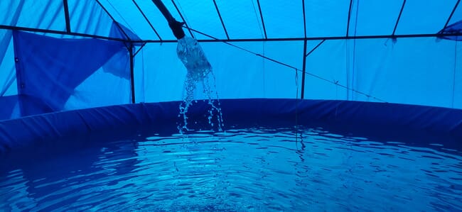 model polythene for fish farming