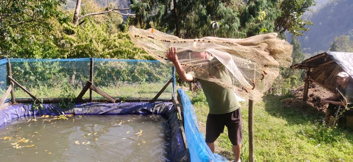 person throwing a net into a fish pond