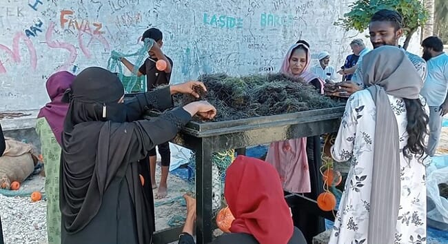 Group of woman sorting through harvested seaweed
