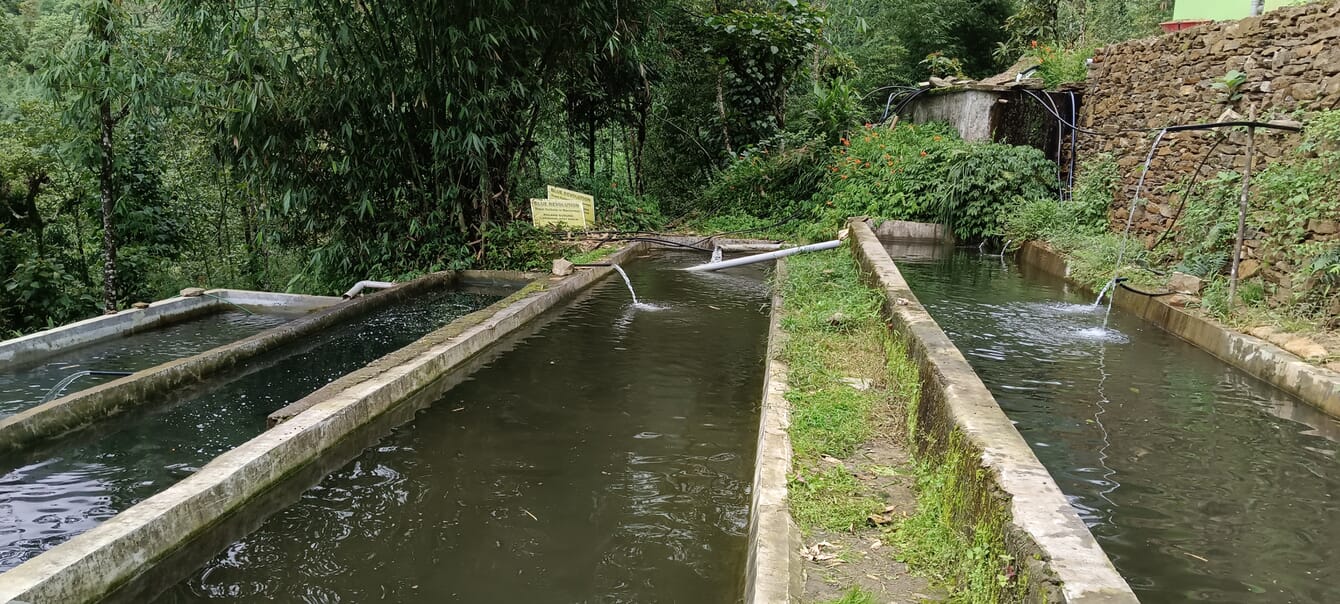 terraced concrete tanks