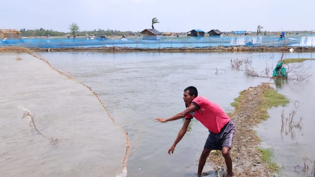 A man throwing a net into a shrimp pond.