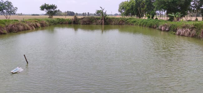 inland fish pond