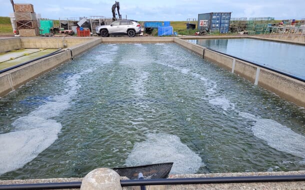 Accelerating the ocean’s carbon sink with Vycarb’s sensor-driven system ...