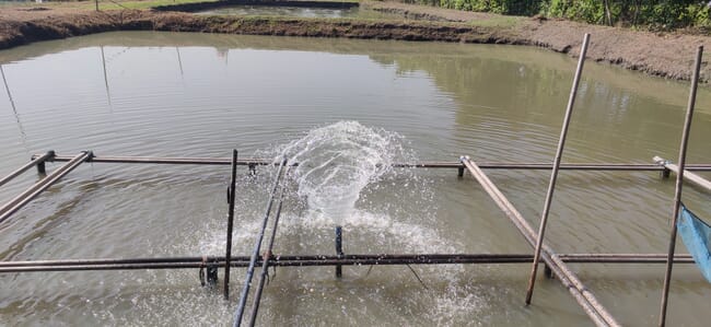 pond with an aerator