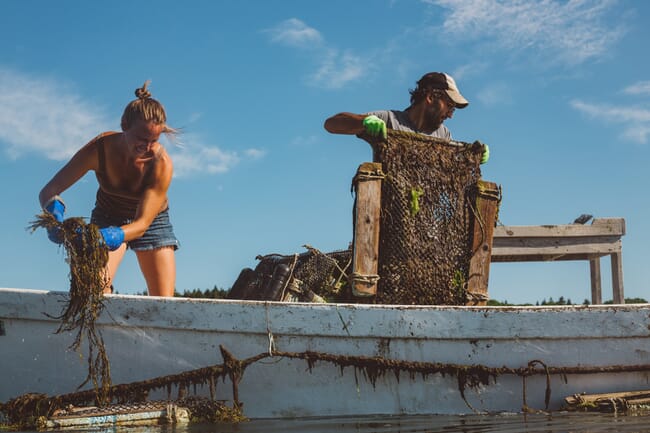 two people working from a boat