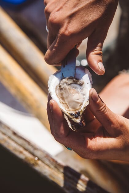 person shucking an oyster