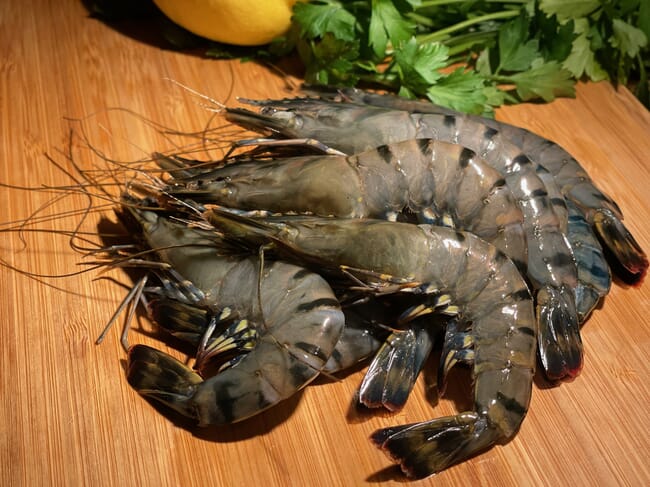 black tiger prawns