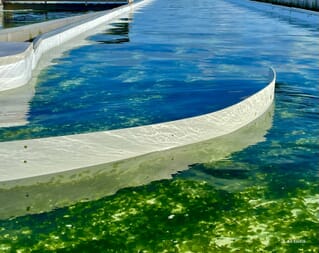 Meet the farmer: Ananda Arrieta | The Fish Site