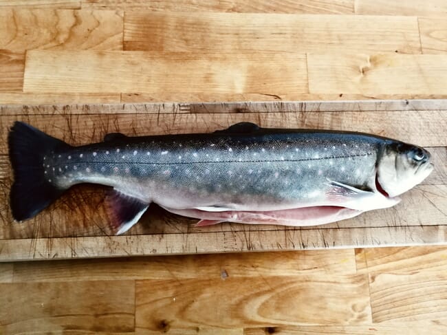 arctic charr on a cutting board