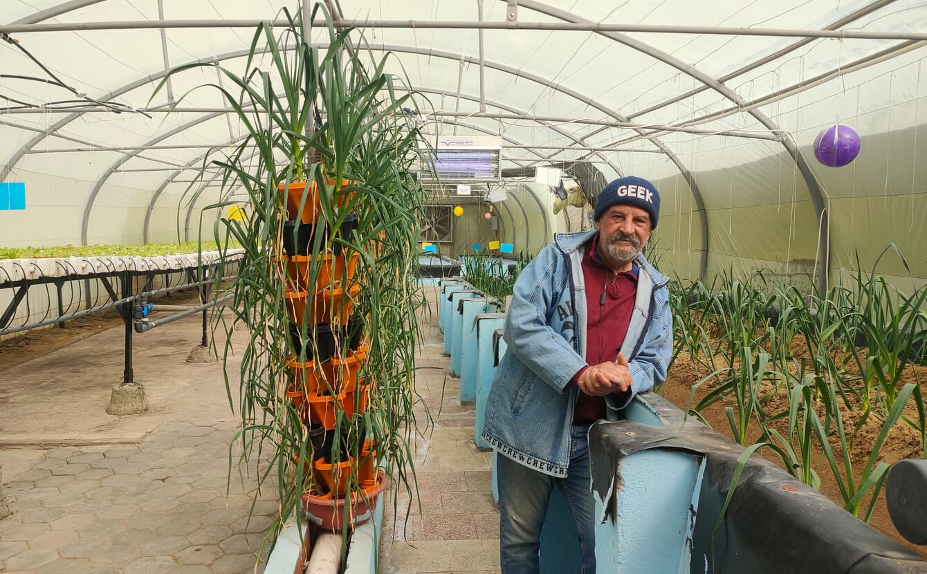 Man standing in a greenhouse