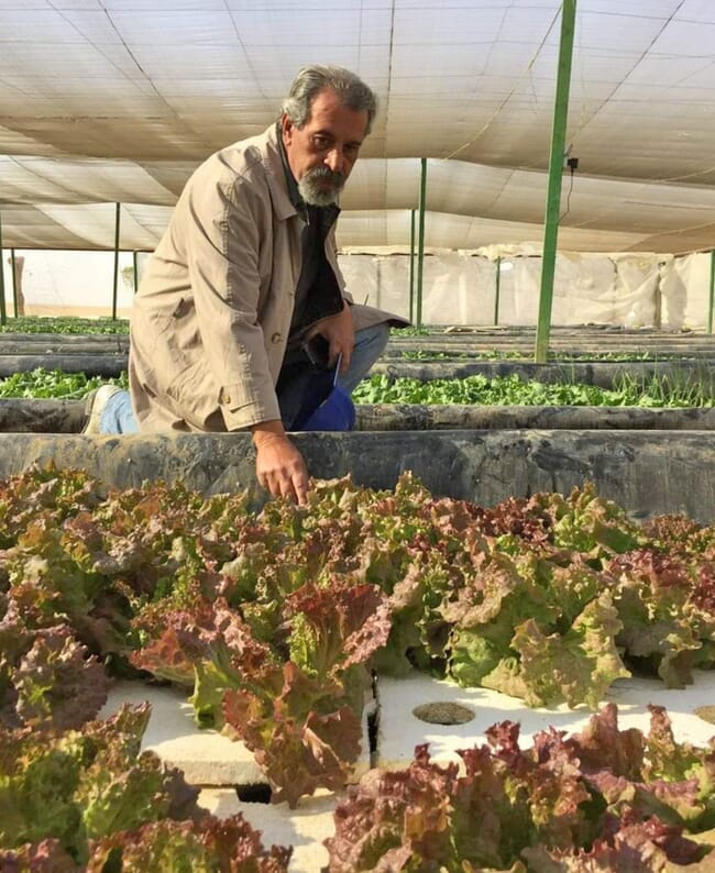 Man with lettuce