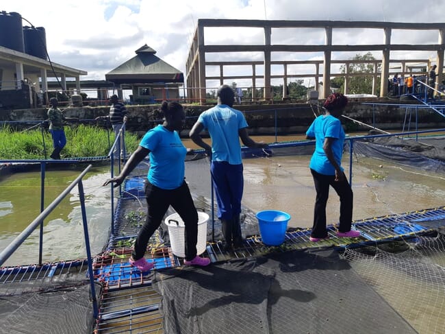 three people standing at the edge of aquaculture pens