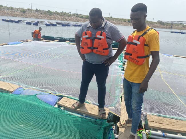 Two men looking in a catfish cage