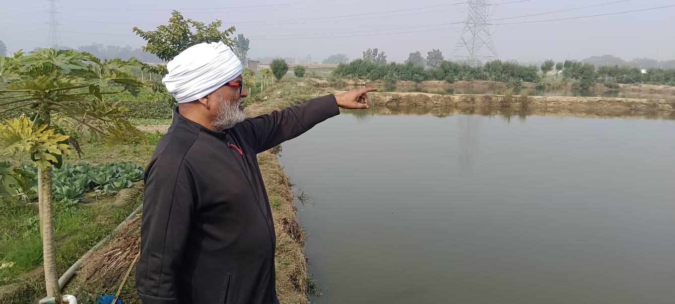 Hombre señalando un estanque de peces