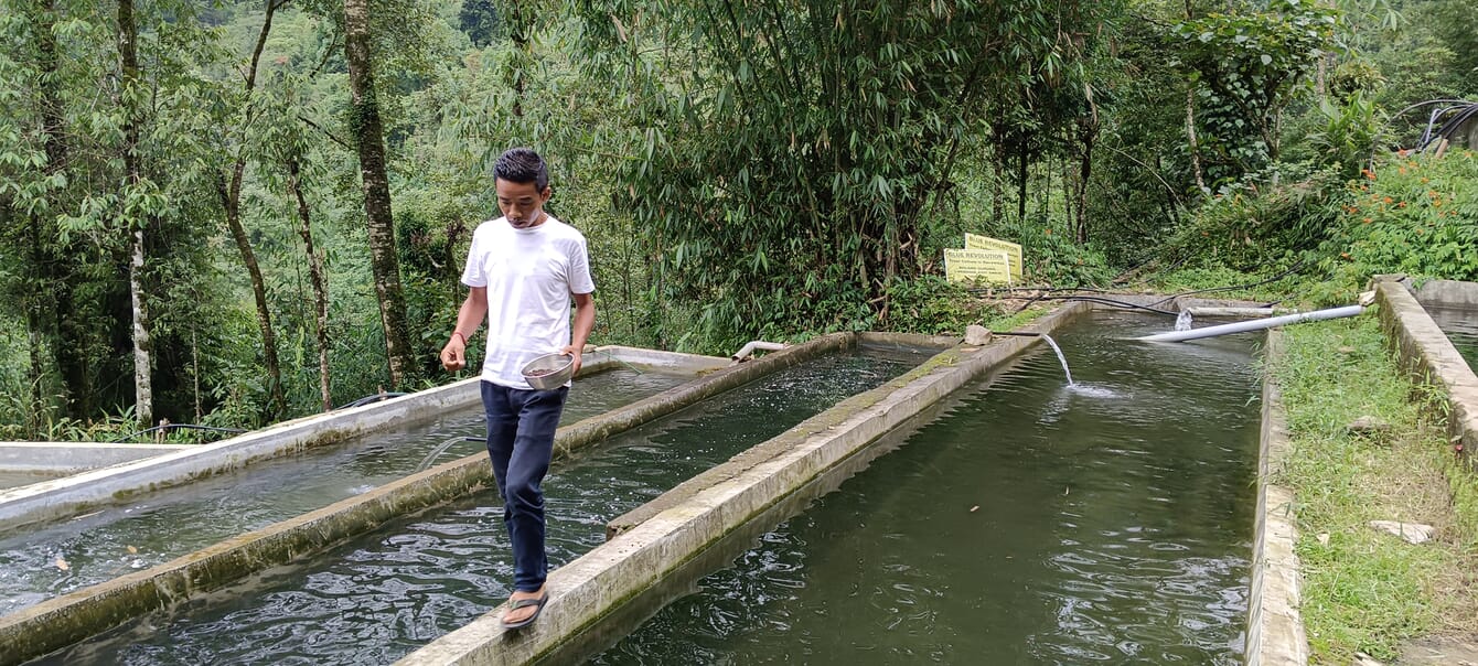 Man throwing feed into concrete fish tanks