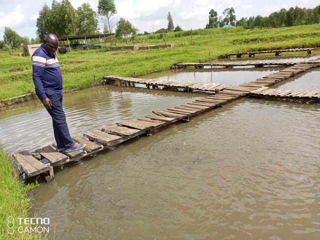 person standing on a wooden dock