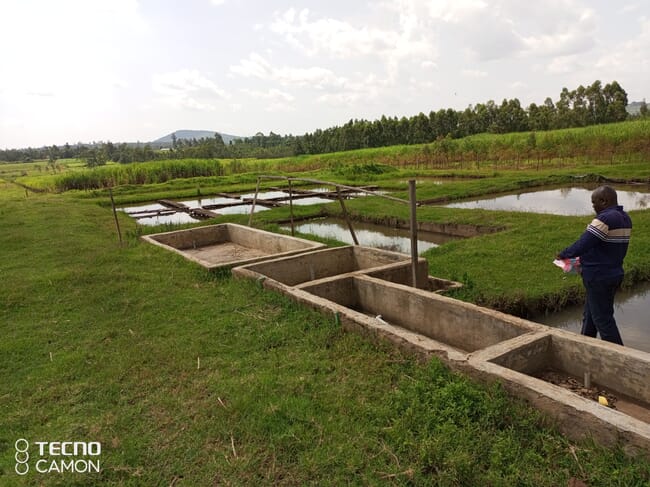 man walking through earthen fish ponds