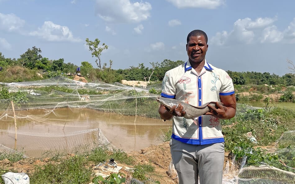 Southeast Nigeria’s catfish king The Fish Site