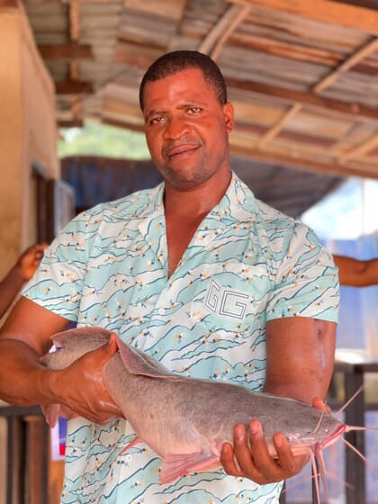 Homem segurando um grande peixe-gato