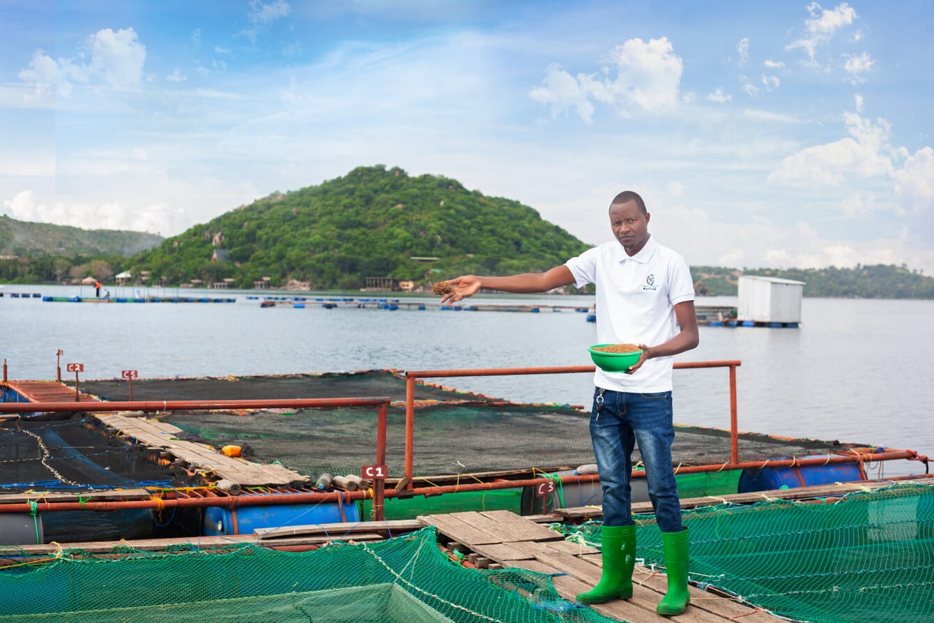 Mpanju Elpidius at his tilapia farm