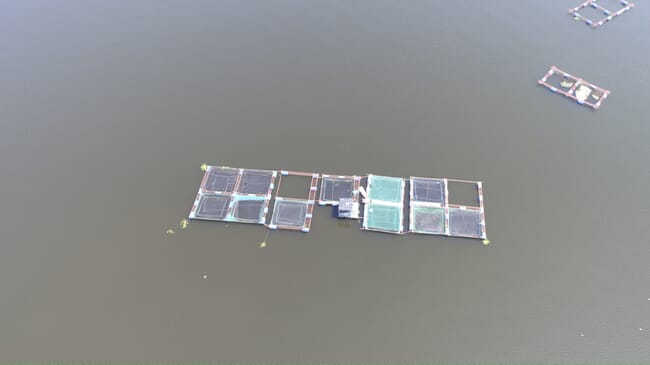 aerial view of a tilapia farm