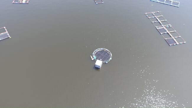 fish cage in Lake Victoria