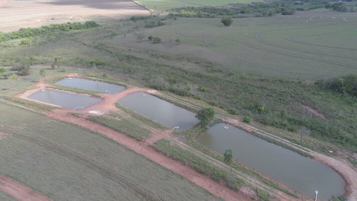 aerial view of tilapia ponds