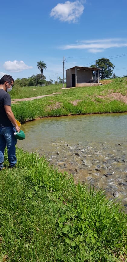 man standing next to a fish pond