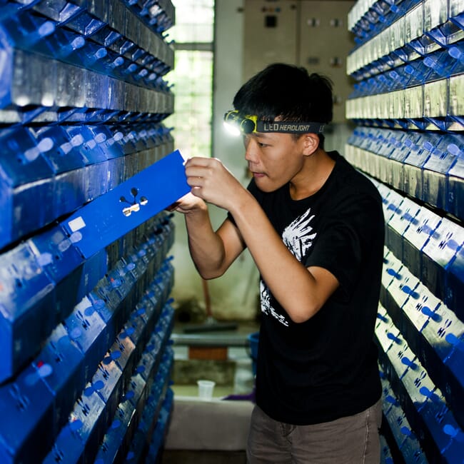 Man looking in a box wearing a head torch