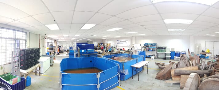 panoramic view of a recirculating aquaculture system